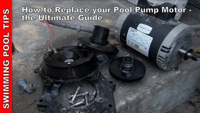 Five Signs You Need Swimming Pool Motor Replacement This Season