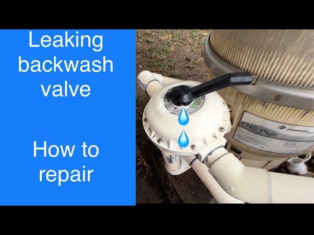 Comparing Repair Options for Leaking Backwash Valve