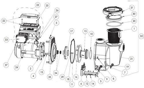 Components in Pool Pump and Pool Motor Replacement
