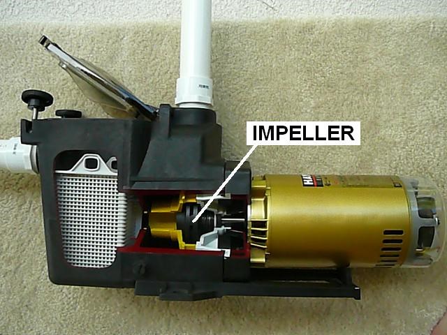 Failures that Force Swimming Pool Pump Impeller Replacement