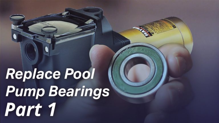 Local Swimming Pool Pump Motor Repair Versus Full Replacement