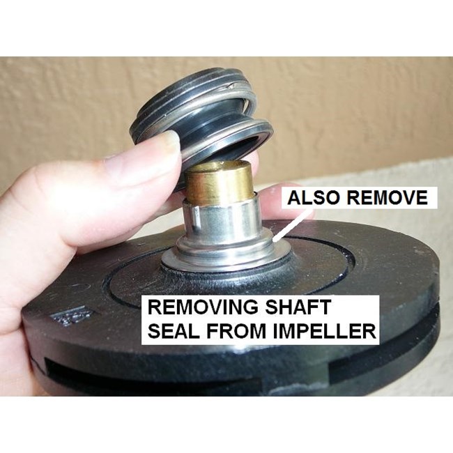 swimming pool pump seal replacement