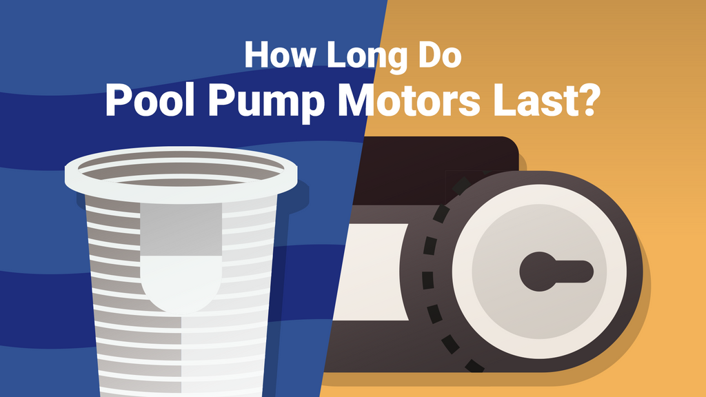 how long do pool pump motors last