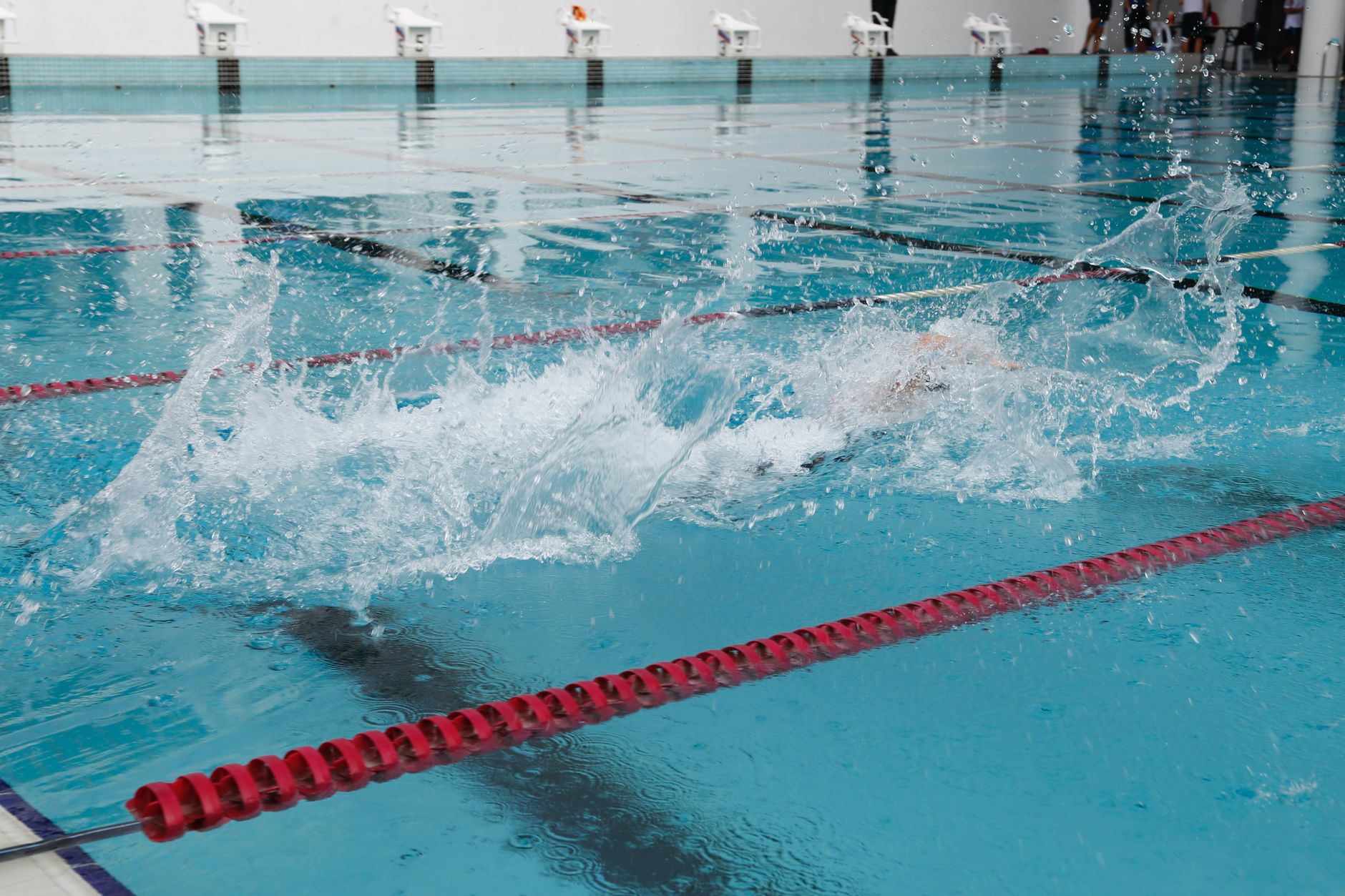 variable speed pool pump vs single speed